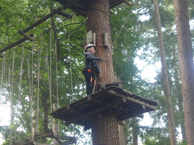 Foto des Albums: Kletterwald