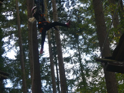 Foto des Albums: Kletterwald