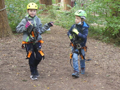 Foto des Albums: Kletterwald