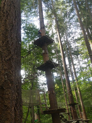 Foto des Albums: Kletterwald