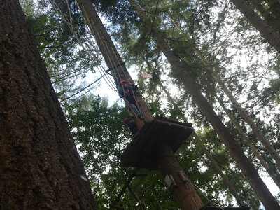 Foto des Albums: Kletterwald