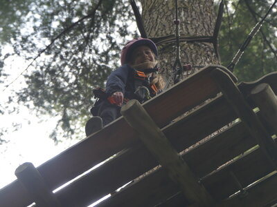 Foto des Albums: Kletterwald