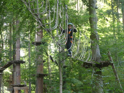 Foto des Albums: Kletterwald