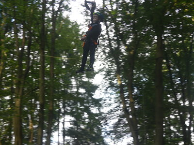 Foto des Albums: Kletterwald