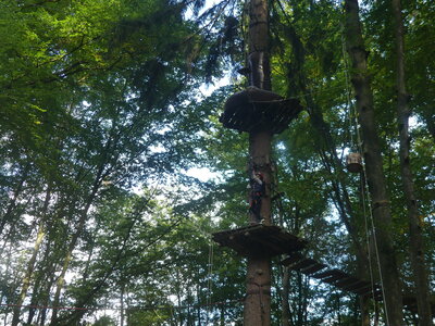 Foto des Albums: Kletterwald