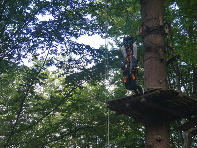 Foto des Albums: Kletterwald