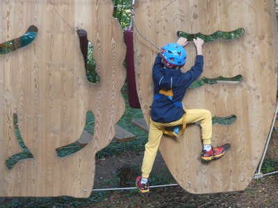 Foto des Albums: Kletterwald