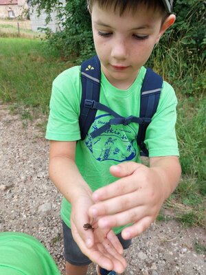 Foto des Albums: Wandertag Klasse1