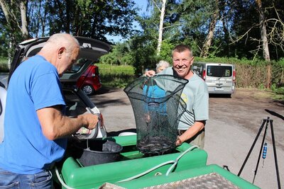 bei einer solch guten Qualit&auml;t der Fische lacht das Herz eines jeden Artensch&uuml;tzers 