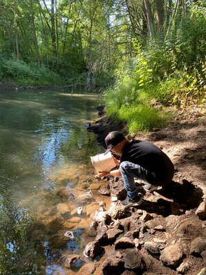 Aalbesatz an der Helme bei Allstedt 2022 