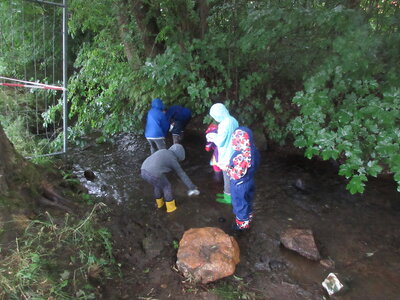 Foto des Albums: InseGdA Gewässergütebestimmung Tröstau (01. 07. 2022)