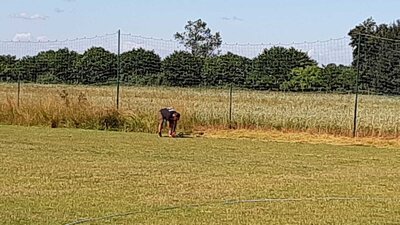 Foto des Albums: Platzdienst Juli 22