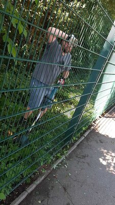 Foto des Albums: Platzdienst Juli 22