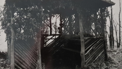 Vorschaubild: Schutzhütte  im Kiefernwald vor der Erneuerung