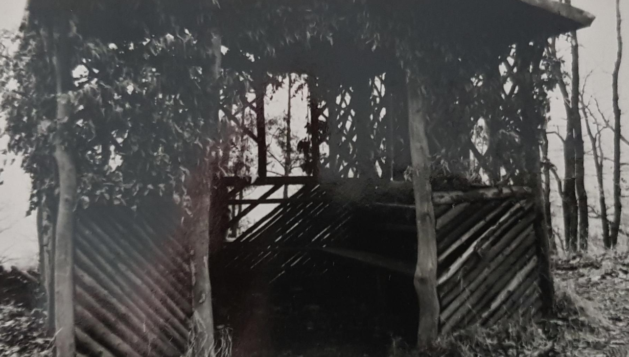 Bild : Schutzhütte im Kiefernwald vor der Erneuerung