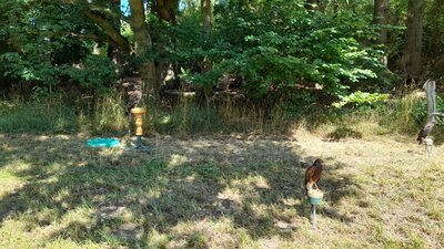 Foto des Albums: Globus- Kinderumwelttag