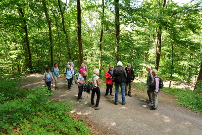 Auf dem R&uuml;ckweg  (Bild vergr&ouml;&szlig;ern)