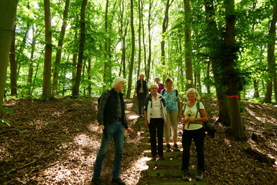 Weg zur Ruine H&uuml;nenburg  (Bild vergr&ouml;&szlig;ern)