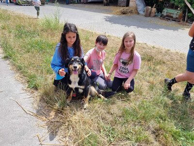 Foto des Albums: Klasse 3b Wanderung zum Biohof Bossow 