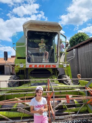Foto des Albums: Klasse 3b Wanderung zum Biohof Bossow 