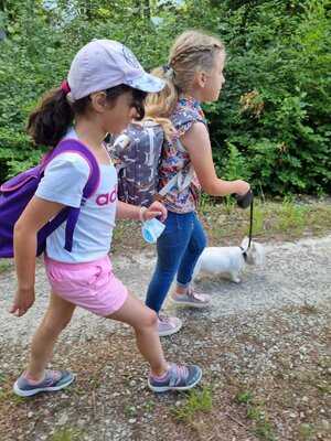 Foto des Albums: Klasse 3b Wanderung zum Biohof Bossow 