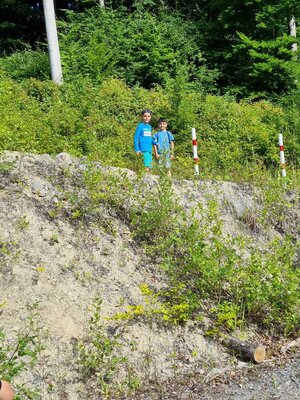 Foto des Albums: Klasse 3b Wanderung zum Biohof Bossow 