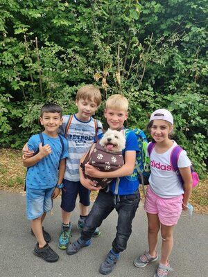 Foto des Albums: Klasse 3b Wanderung zum Biohof Bossow 