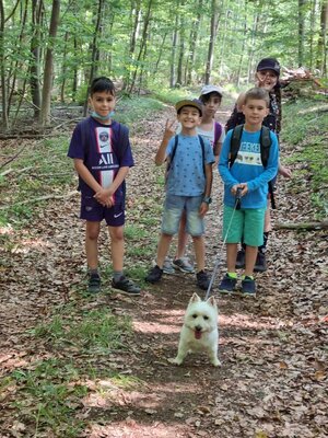 Foto des Albums: Klasse 3b Wanderung zum Biohof Bossow 