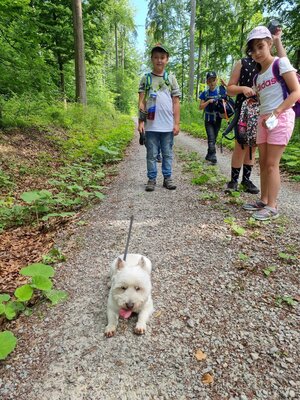 Foto des Albums: Klasse 3b Wanderung zum Biohof Bossow 