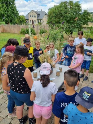 Foto des Albums: Klasse 3b Wanderung zum Biohof Bossow 