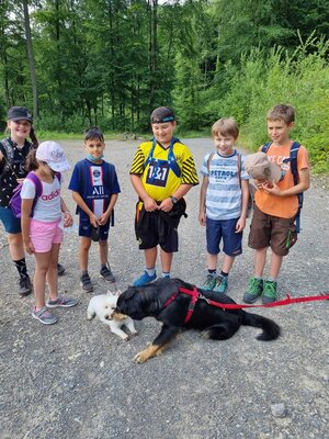 Foto des Albums: Klasse 3b Wanderung zum Biohof Bossow 