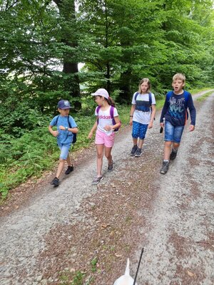 Foto des Albums: Klasse 3b Wanderung zum Biohof Bossow 