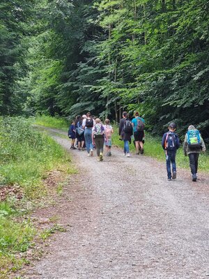 Foto des Albums: Klasse 3b Wanderung zum Biohof Bossow 