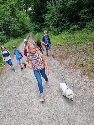 Foto des Albums: Klasse 3b Wanderung zum Biohof Bossow 