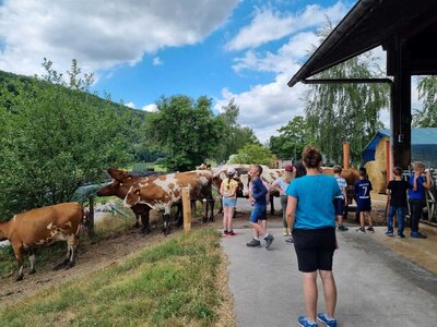 Foto des Albums: Klasse 3b Wanderung zum Biohof Bossow 