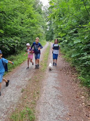 Foto des Albums: Klasse 3b Wanderung zum Biohof Bossow 