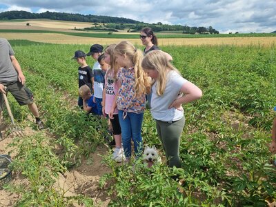 Foto des Albums: Klasse 3b Wanderung zum Biohof Bossow 