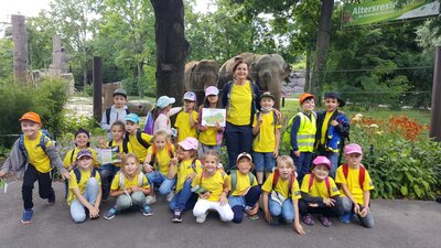 Foto des Albums: Zoo