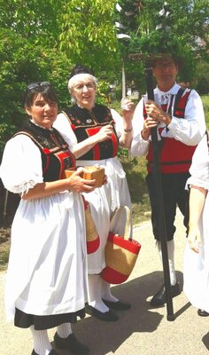 Foto des Albums: Rosenfest in Nöggeschwiel