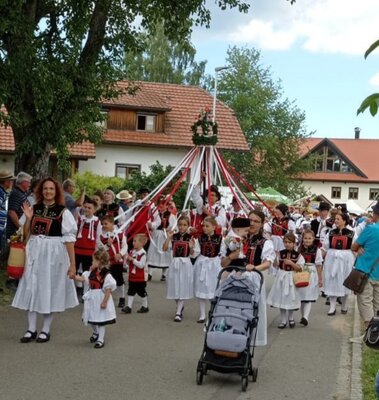 Foto des Albums: Rosenfest in Nöggeschwiel