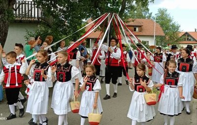 Foto des Albums: Rosenfest in Nöggeschwiel
