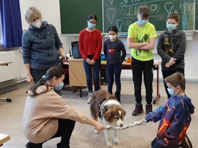 Foto des Albums: Lernen mit Hunden: Ein besonderes Inklusionsprojekt