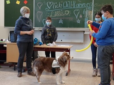 Foto des Albums: Lernen mit Hunden: Ein besonderes Inklusionsprojekt