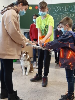 Foto des Albums: Lernen mit Hunden: Ein besonderes Inklusionsprojekt