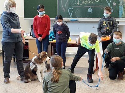 Foto des Albums: Lernen mit Hunden: Ein besonderes Inklusionsprojekt