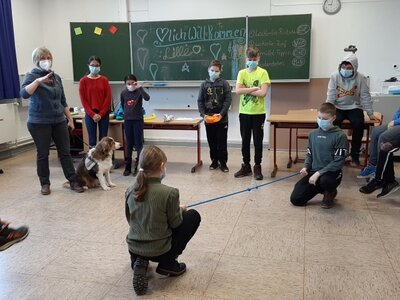 Foto des Albums: Lernen mit Hunden: Ein besonderes Inklusionsprojekt