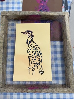 Foto des Albums: Mikroplastik im Gewässer: Projekt der 10a mit dem Nabu