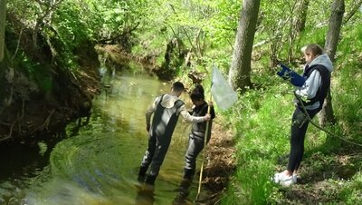 Foto des Albums: FLOW: Ein Projekt des WPU Nawi Digital