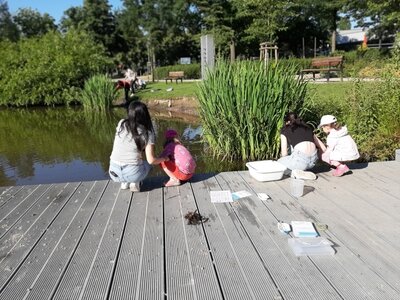 Foto des Albums: Kreisumwelttage: Wir keschern in den Steindammwiesen mit den Kindern des Kinderhauses Hainholz