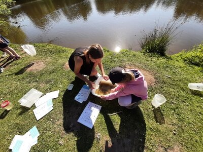Foto des Albums: Kreisumwelttage: Wir keschern in den Steindammwiesen mit den Kindern des Kinderhauses Hainholz